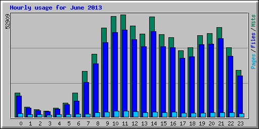Hourly usage for June 2013