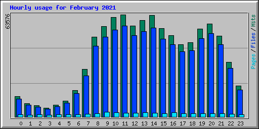 Hourly usage for February 2021